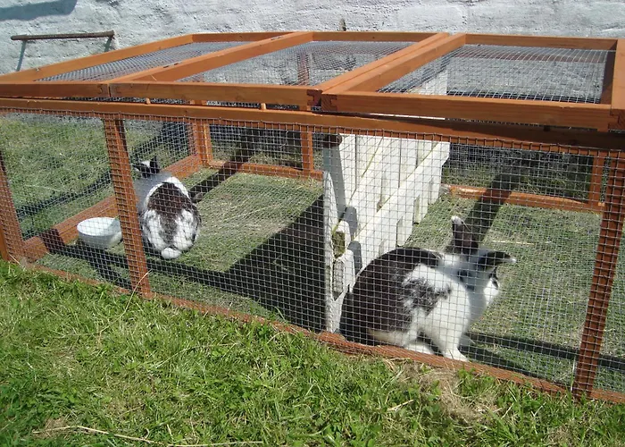 Thorupgaard Farm Holiday
