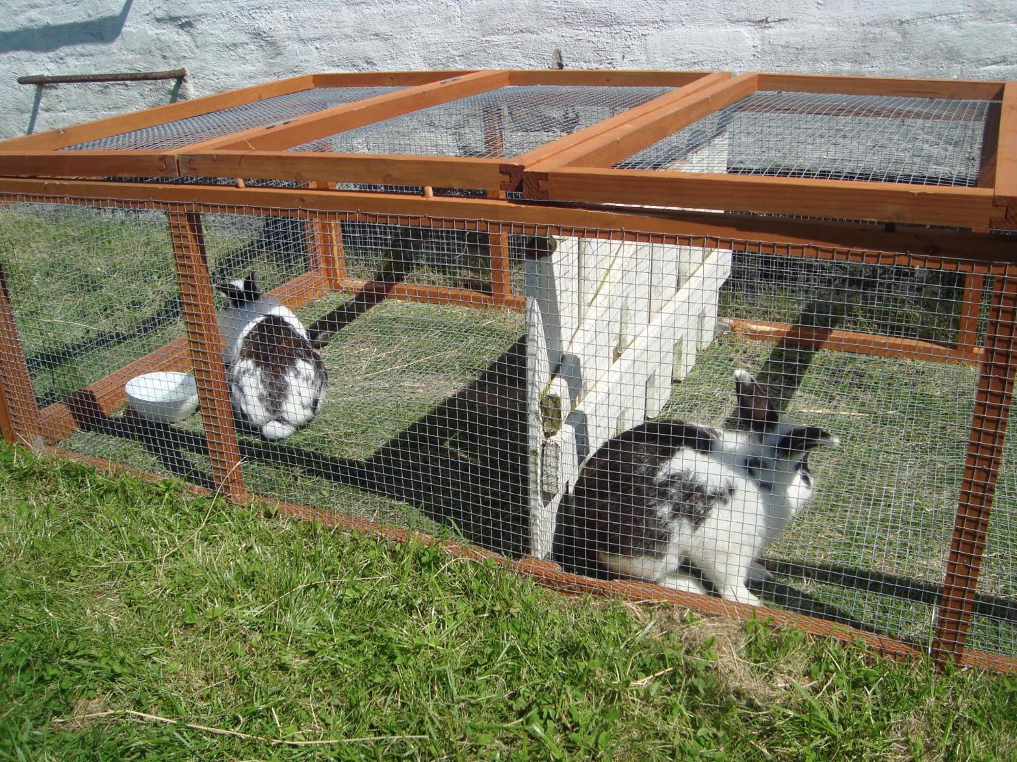 Thorupgaard Farm *
