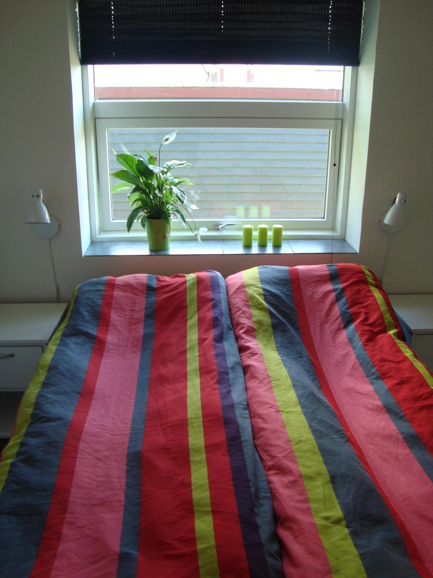 Thorupgaard Farm Farm stay