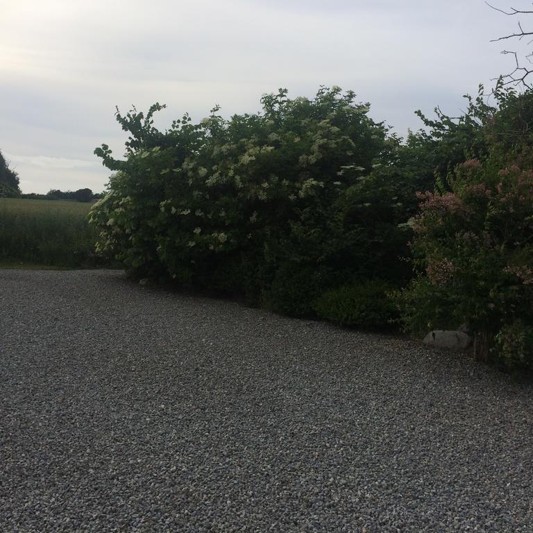 Farm stay Thorupgaard Farm *