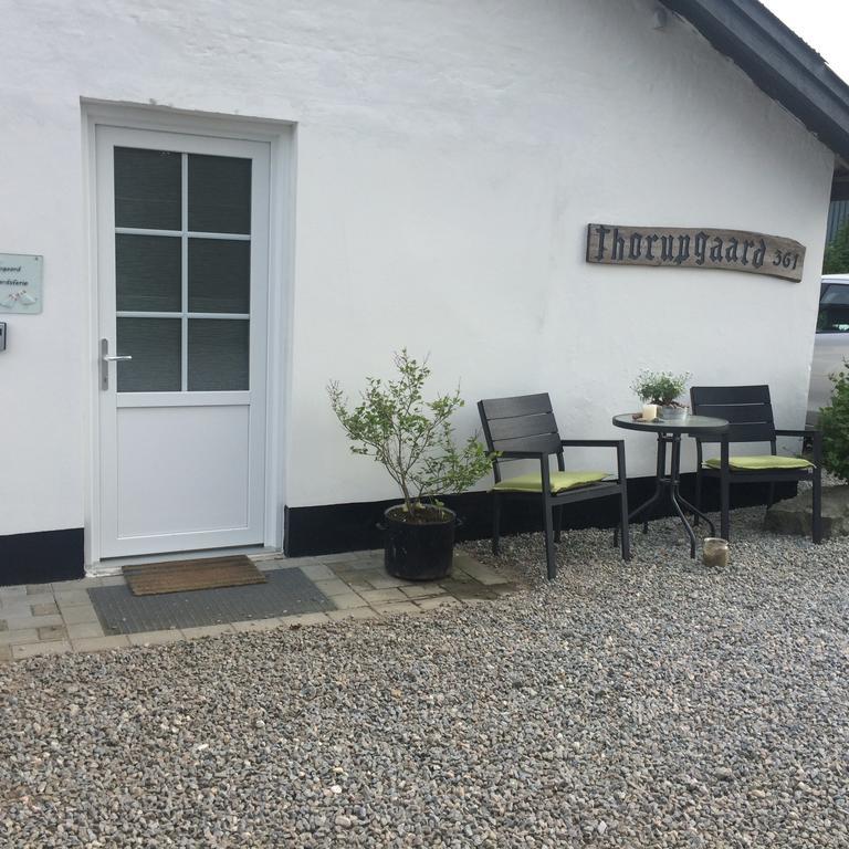 Farm stay Thorupgaard Farm